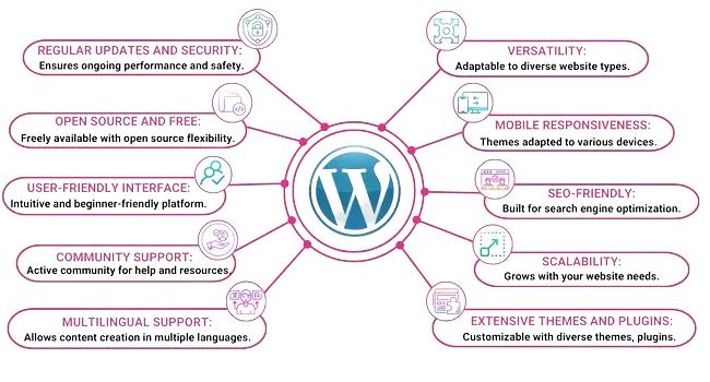 why-should-you-use-wordpress