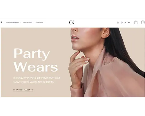 astra-wordpress-theme-for-clothing-store-website