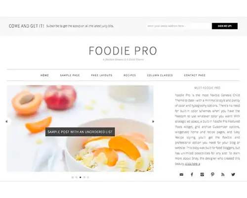 FoodiePro